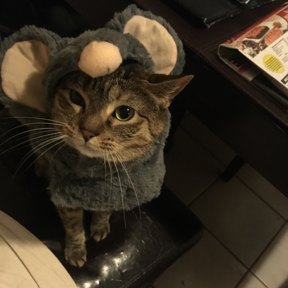 Meet your Posher, Alexis